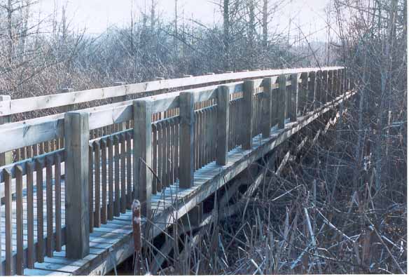 wetlandwalkways1.jpg