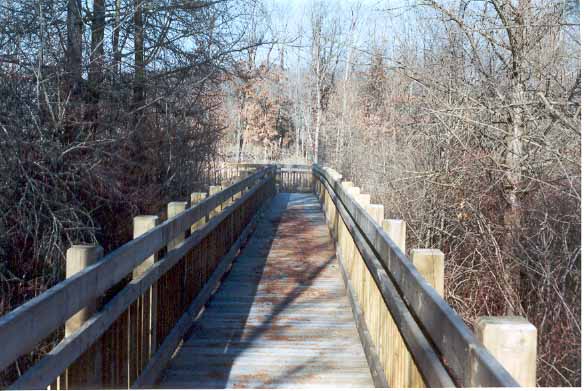 wetlandwalkways5.jpg